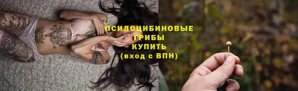 ПСИЛОЦИБИНОВЫЕ ГРИБЫ Тында