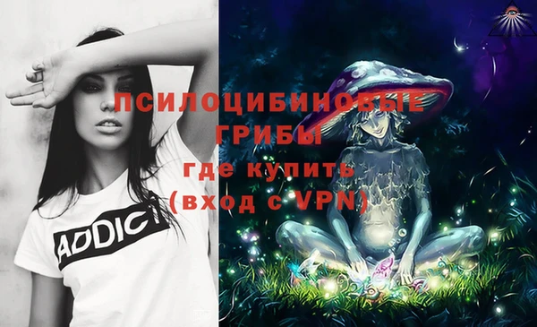 прущая мука Гусь-Хрустальный