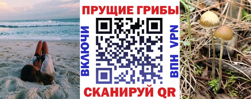 магазин  наркотиков  Ступино  OMG зеркало  Галлюциногенные грибы GOLDEN TEACHER 